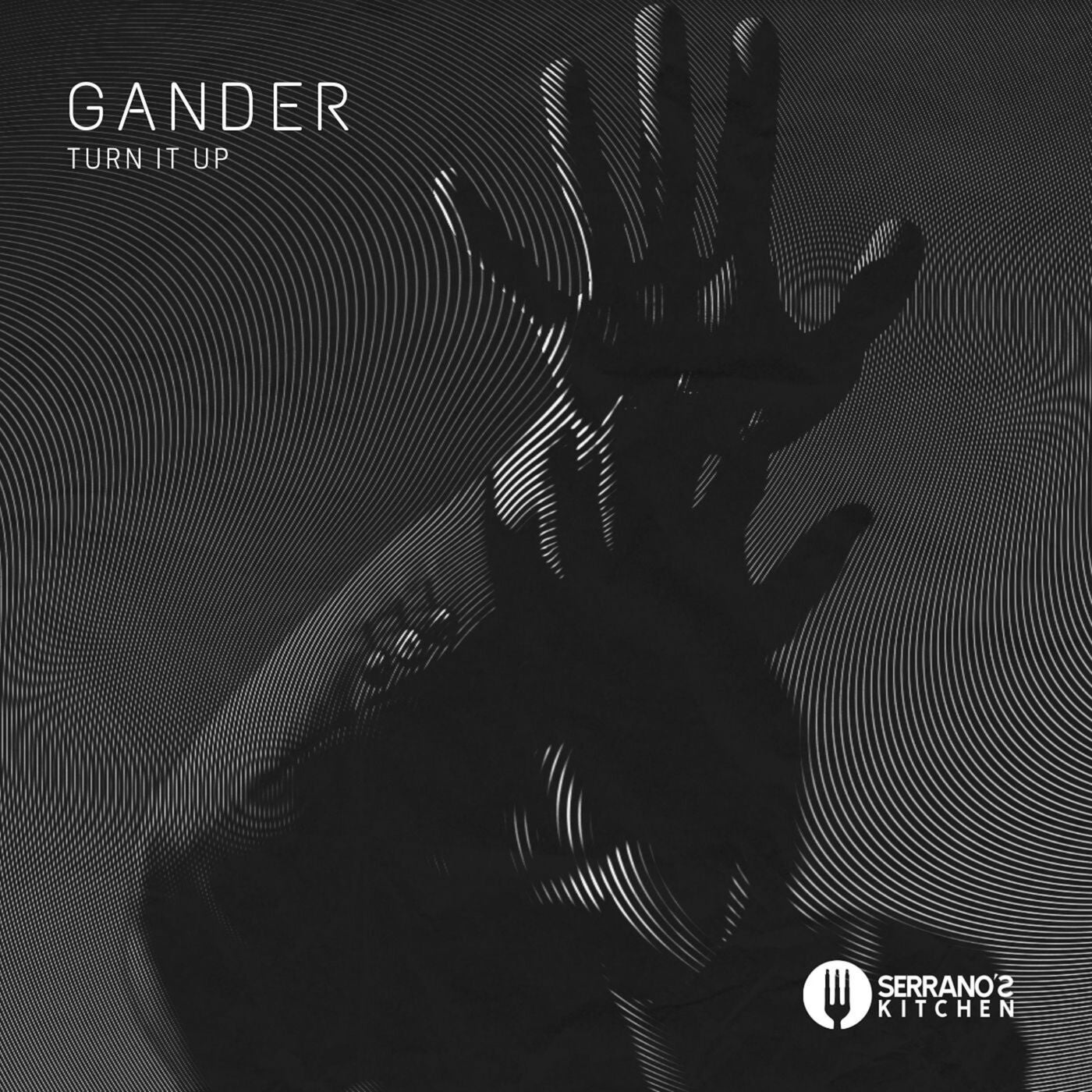 GANDER – Turn It Up [SEK039]